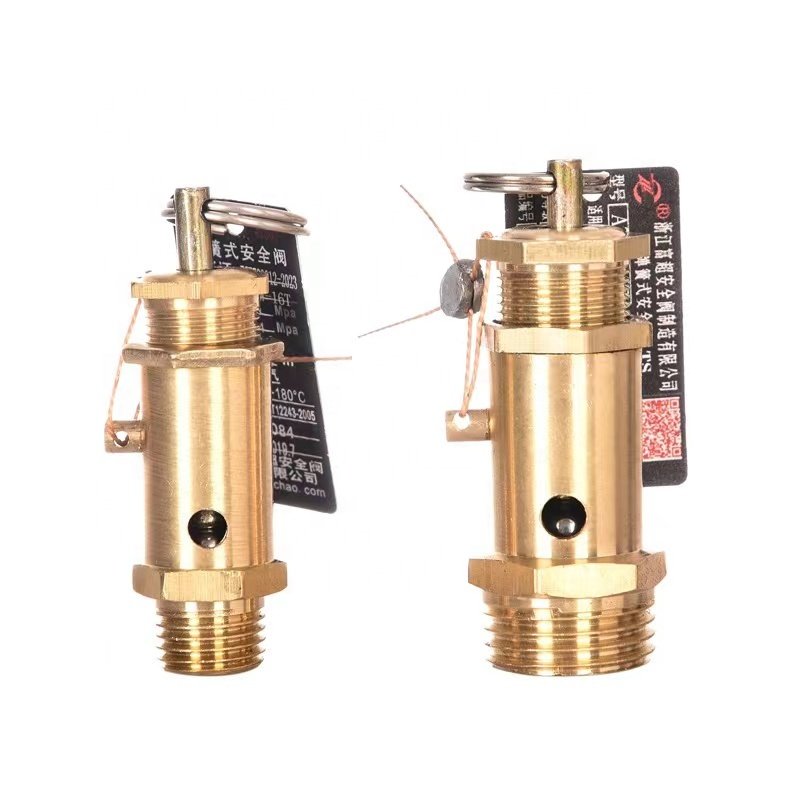 pressure relief valve by hand/steam relief valve