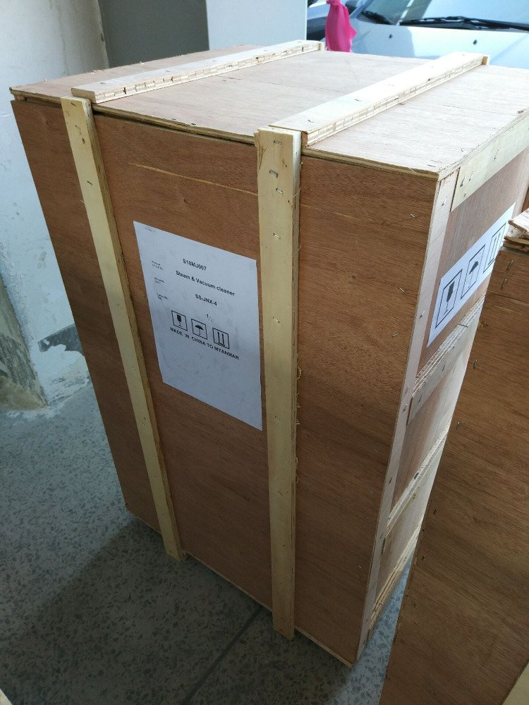 China top selling steam car washer vacuum cleaner with good quality(SS-JNX-4)