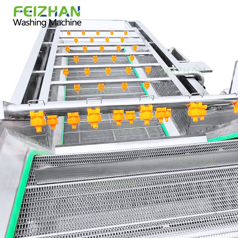 FEIZHAN FZ-WS300Q Industrial Automatic Chili Pepper Potato Vegetable And Fruit Bubble Washing Machine Ginger Tomato Washer