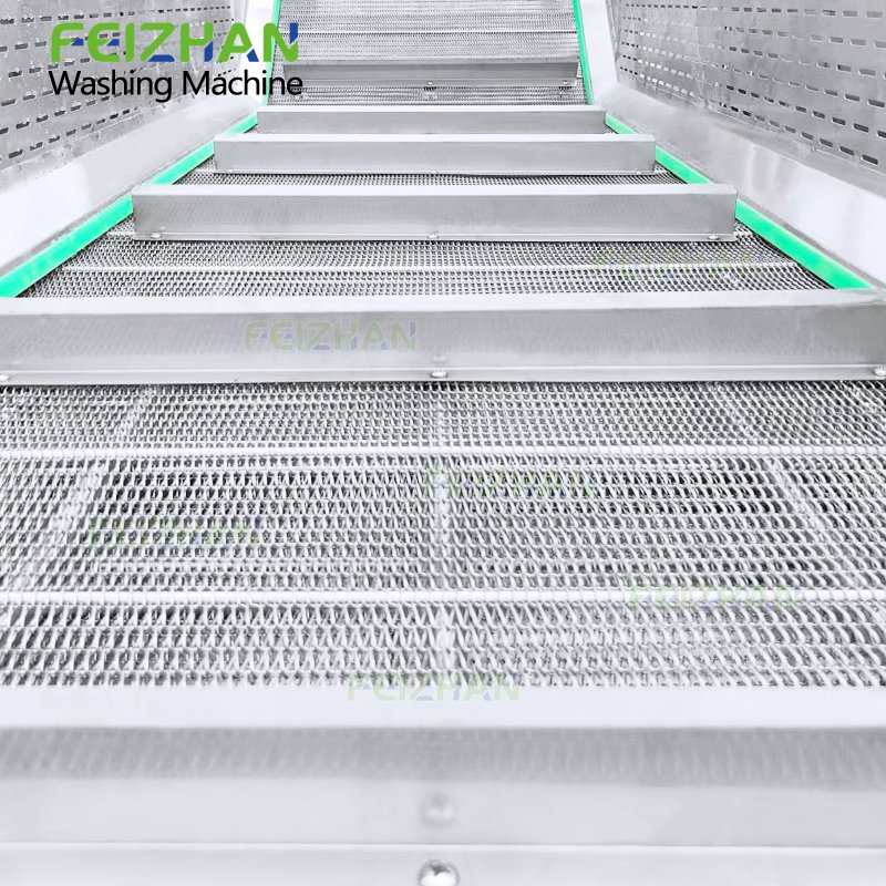 FEIZHAN FZ-WS300Q Industrial Automatic Chili Pepper Potato Vegetable And Fruit Bubble Washing Machine Ginger Tomato Washer