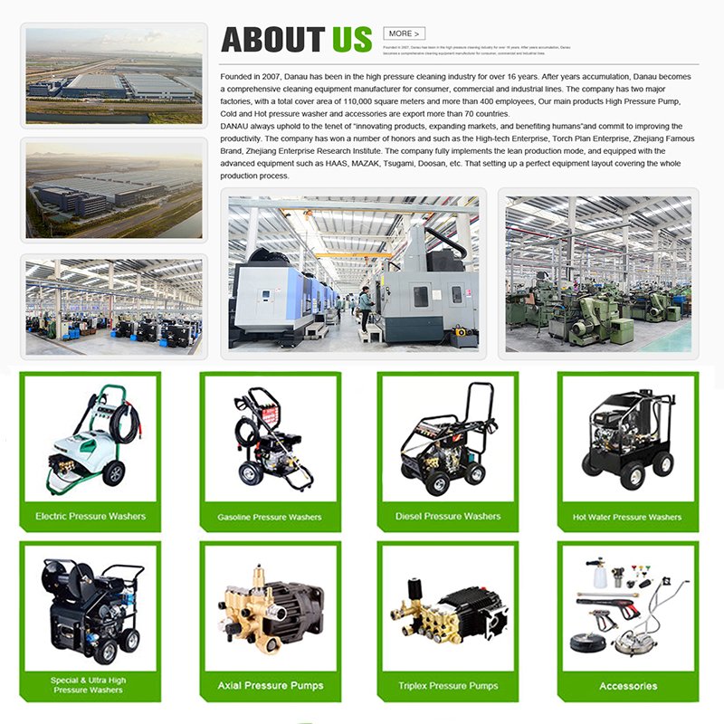 DANAU Idropulitrice Commercial 6900PSI 476Bar Stainless Steel Cold Water Gas Engine Belt Drive High Pressure Car Washer Cleaner
