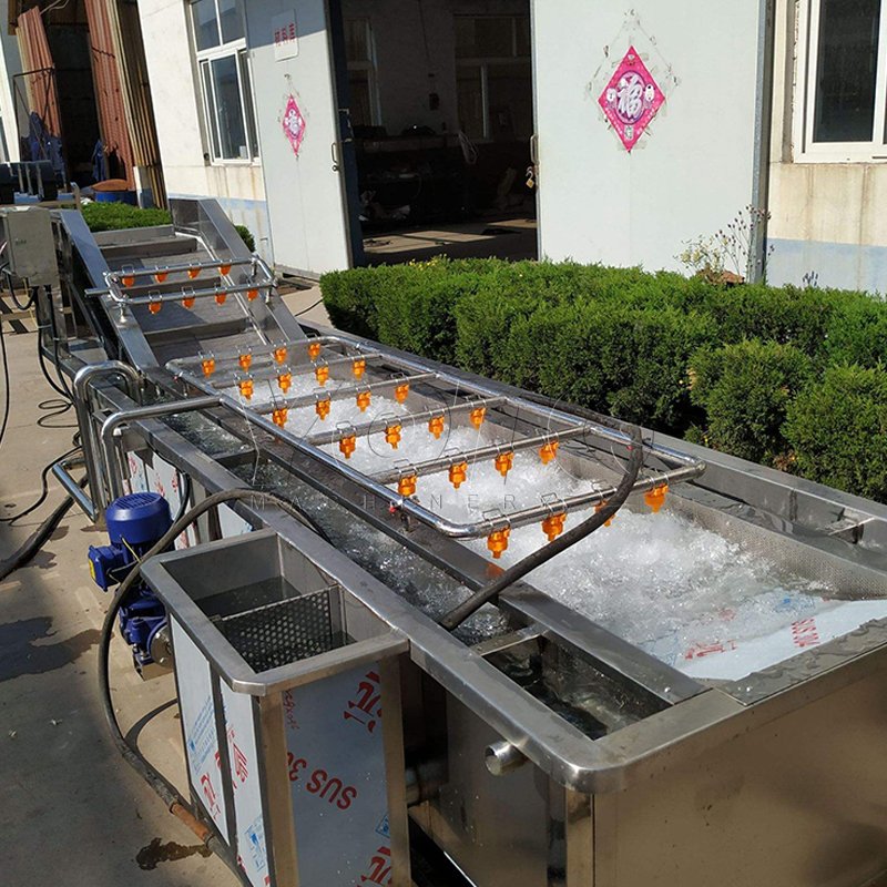 Automatic Stainless Steel Vegetable Fruit Washer 800KG/H Tomato Carrot Washing Machine Commercial Fruit and Vegetable Machine