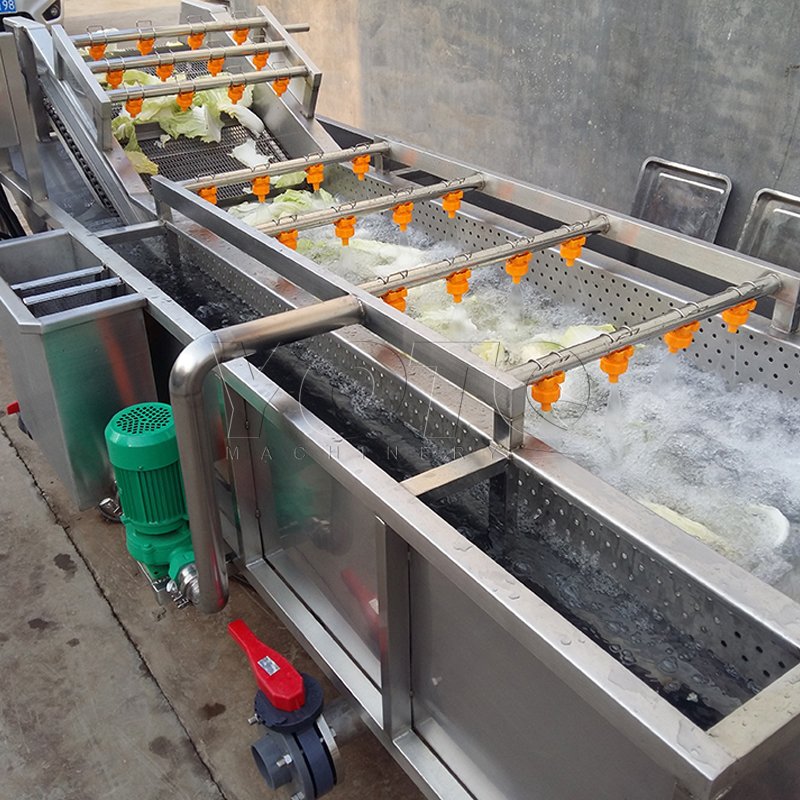 Automatic Stainless Steel Vegetable Fruit Washer 800KG/H Tomato Carrot Washing Machine Commercial Fruit and Vegetable Machine