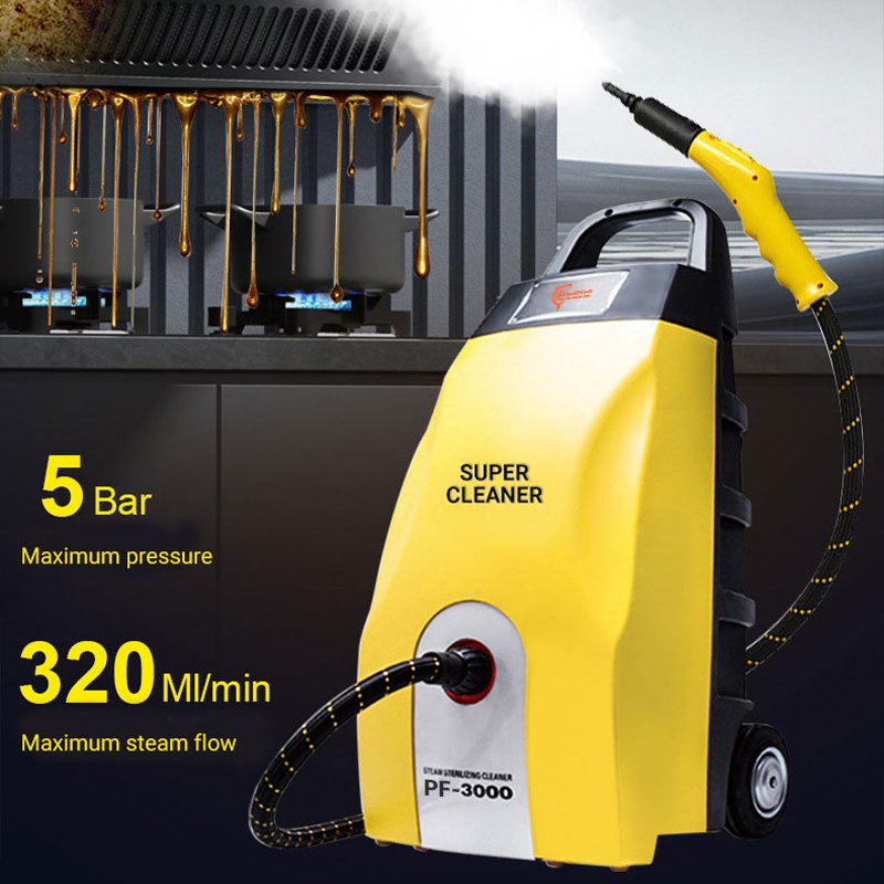 Handle Portable Steam Clean Features 3000W High-Powered Car Steam Washer With Box