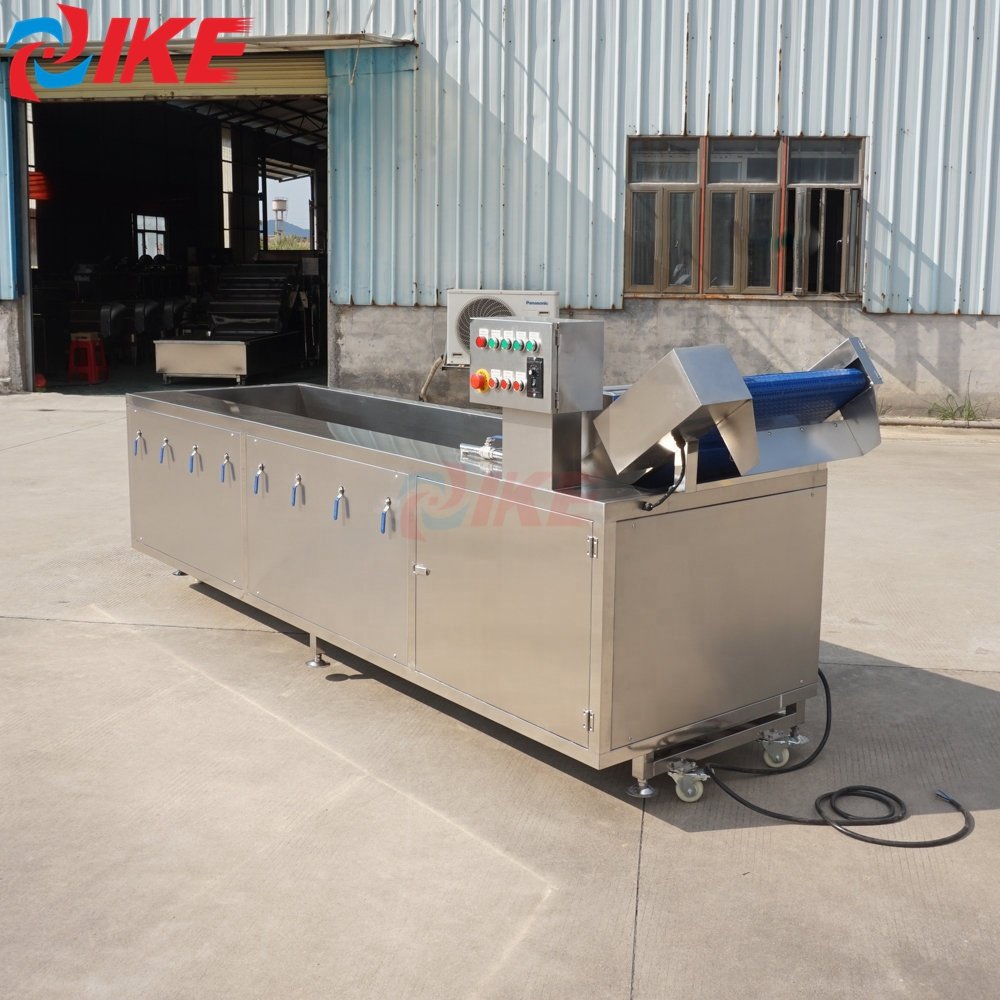 IKE Orange Lemon Vegetable Conveyor Belt Provided Automatic Fruit Washer Air Bubble Water Washing Machine Wooden 1 Unit 220 380V
