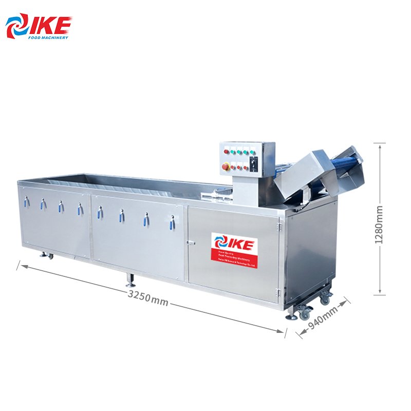 IKE Orange Lemon Vegetable Conveyor Belt Provided Automatic Fruit Washer Air Bubble Water Washing Machine Wooden 1 Unit 220 380V