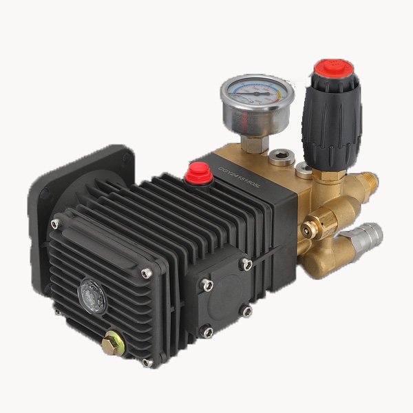 Hot Selling Product 100 Bar Portable High Pressure Car Washer Pump 2.2kw Engine Pressure Washer Pump High Pressure Piston Pump