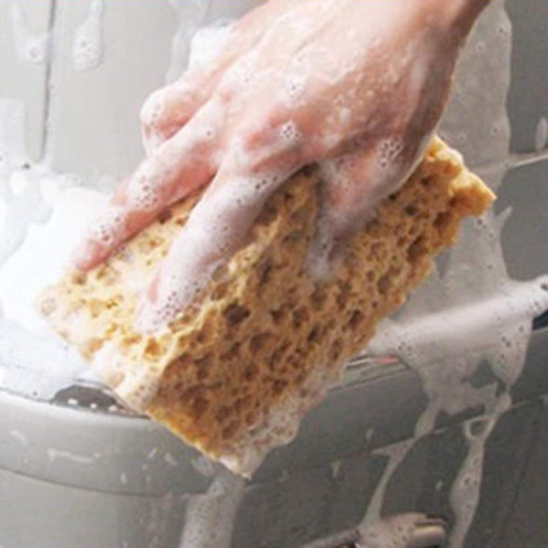 High Density Environmental Friendly Coral Car Washing Foam Sponge Waxing and Cleaning Tools Washing Sponge Car Waxing