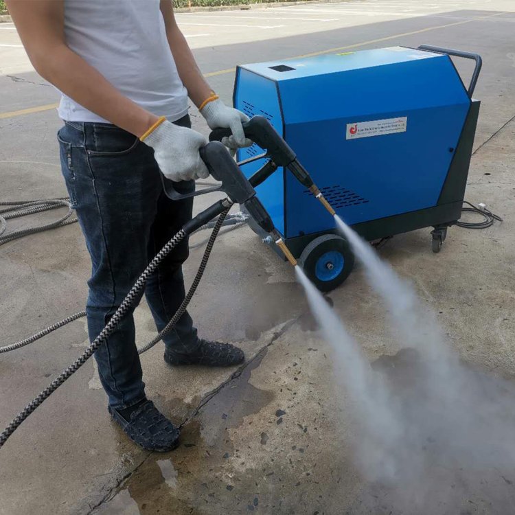DC/AC 2 ways power supply mobile diesel high pressure steam car washer 20bar steam cleaner with two steam cleaner pistols