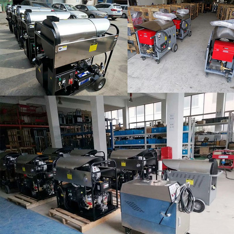 DC/AC 2 ways power supply mobile diesel high pressure steam car washer 20bar steam cleaner with two steam cleaner pistols
