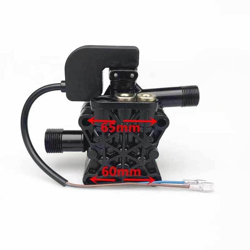 Portable car washer pump head
