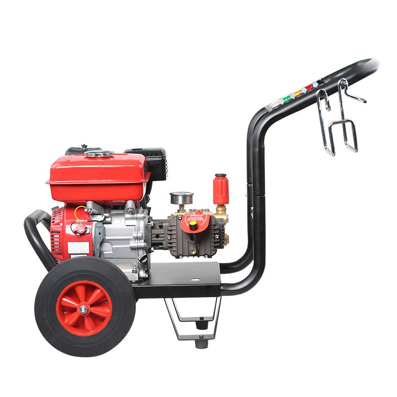 3625Psi 250Bar High Pressure Cleaner Price High Pressure Gasoline Car Washer