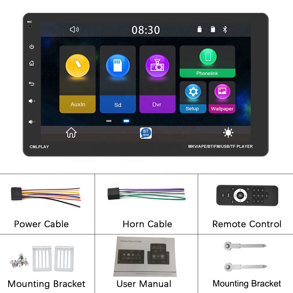 Podofo EU Stock Factory Price 9'' Car Radio Auto 1 Din Removable Screen CarPlay Stereo Video BT FM USB Car MP5 Play