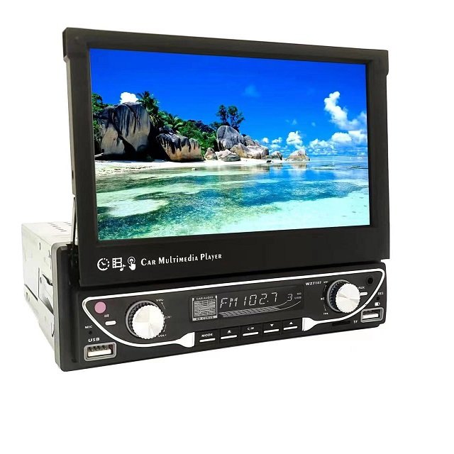 Car DVD player