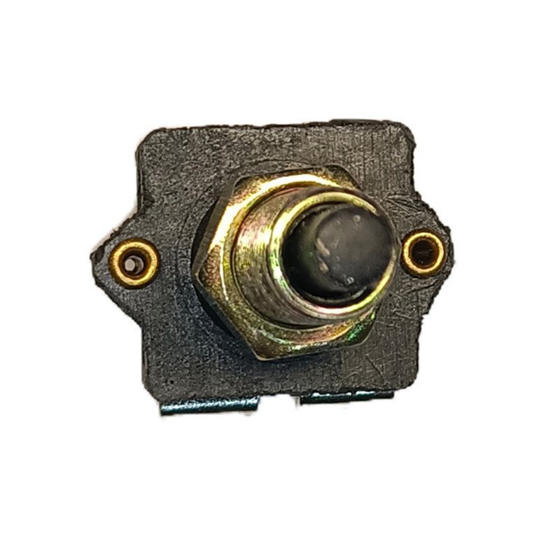 Hot Sales Brake Light Switch for GS 5422483