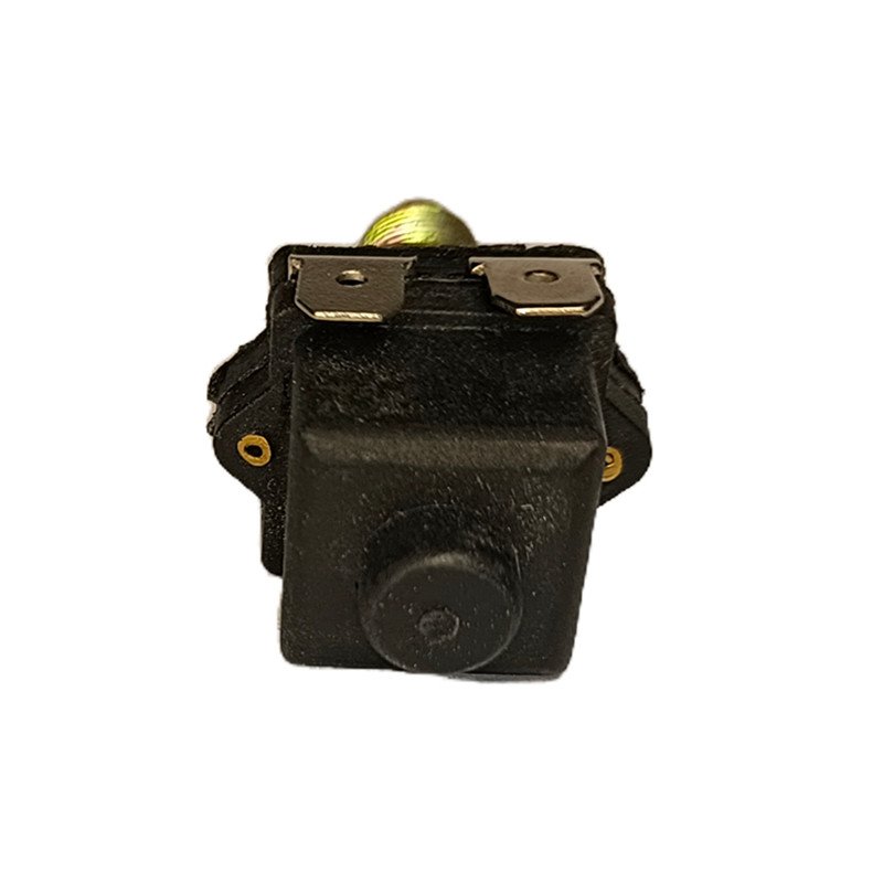Hot Sales Brake Light Switch for GS 5422483
