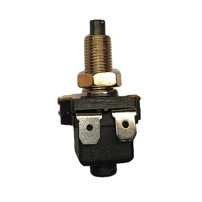 Hot Sales Brake Light Switch for GS 5422483