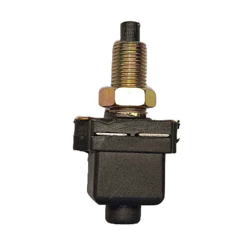 Hot Sales Brake Light Switch for GS 5422483