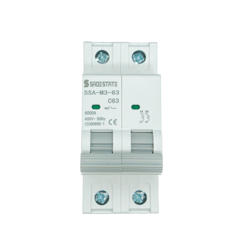 Smart 2-Pole Miniature Circuit Breaker with Din Rail Enclosure 10ka Breaking Capacity GFCI MCB and GFCI