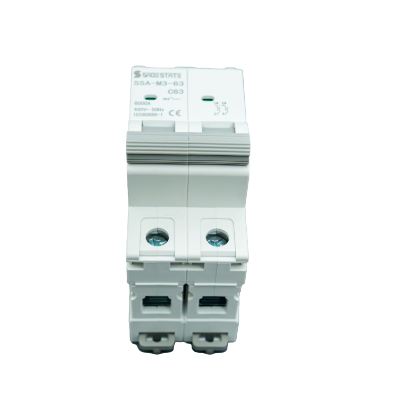 Smart 2-Pole Miniature Circuit Breaker with Din Rail Enclosure 10ka Breaking Capacity GFCI MCB and GFCI