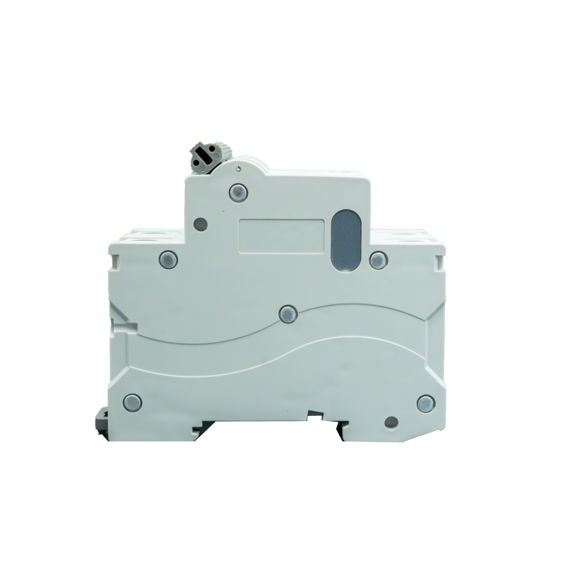 Smart 2-Pole Miniature Circuit Breaker with Din Rail Enclosure 10ka Breaking Capacity GFCI MCB and GFCI