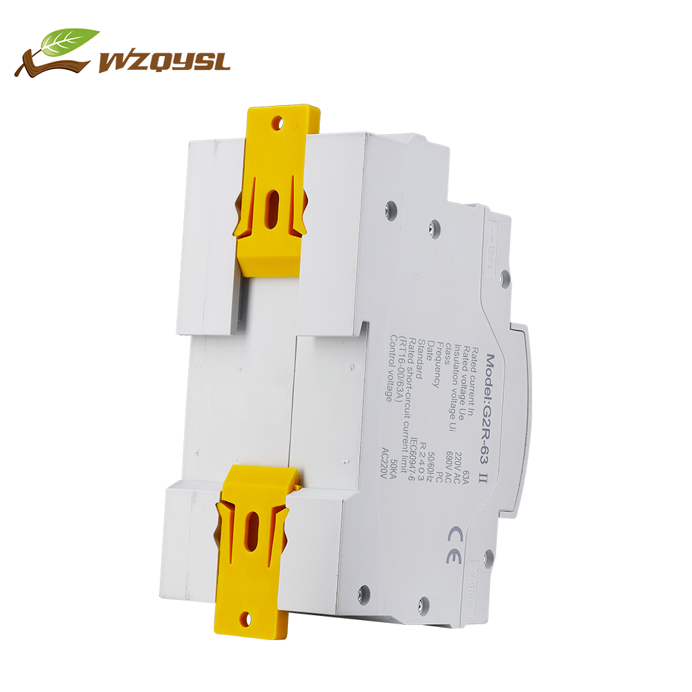 WZQY Factory Price ATS Automatic Transfer Switch 63A 2 Pole ATS Automatic Transfer Switch Suitable for Diesel Generators