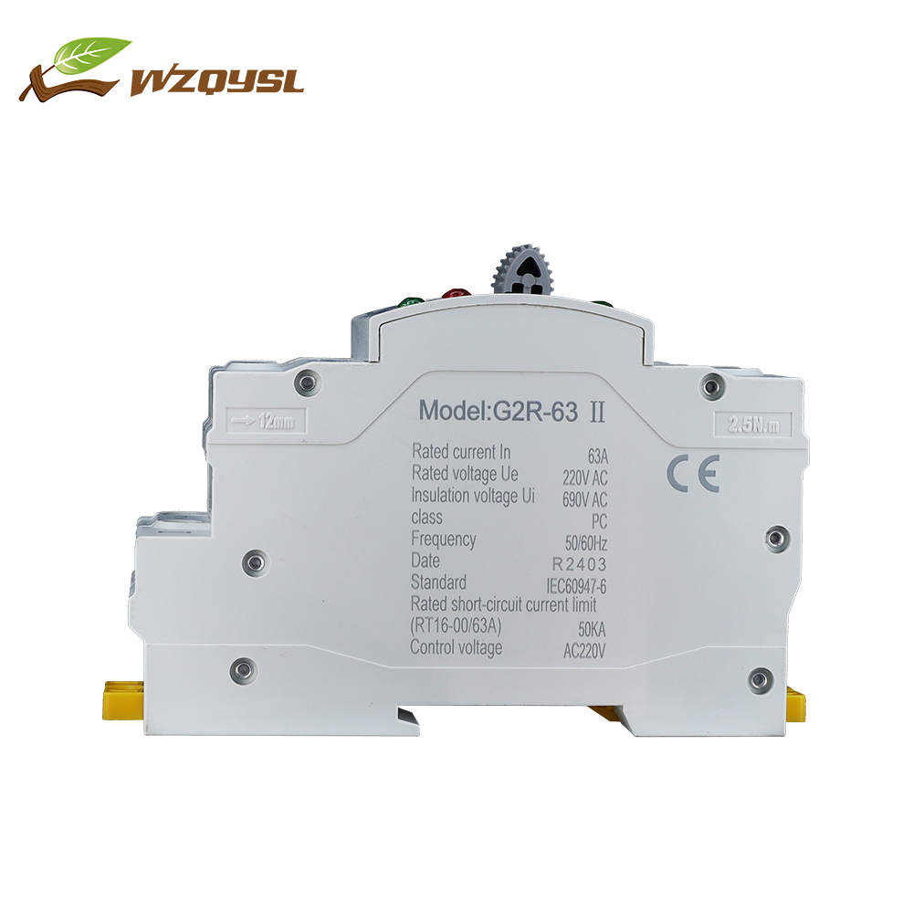 WZQY Factory Price ATS Automatic Transfer Switch 63A 2 Pole ATS Automatic Transfer Switch Suitable for Diesel Generators