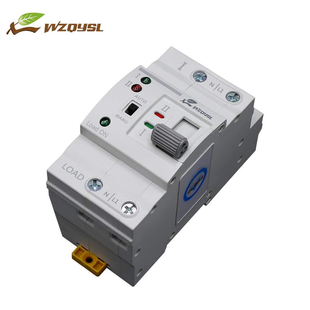 WZQY Factory Price ATS Automatic Transfer Switch 63A 2 Pole ATS Automatic Transfer Switch Suitable for Diesel Generators