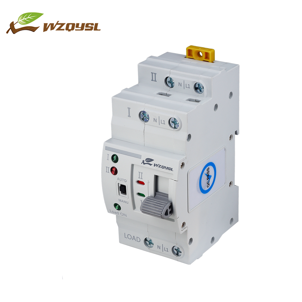 WZQY Factory Price ATS Automatic Transfer Switch 63A 2 Pole ATS Automatic Transfer Switch Suitable for Diesel Generators