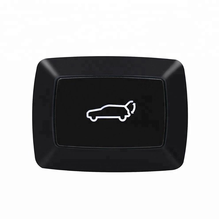 Car Trunk Switch Automotive Tail Gate Switch