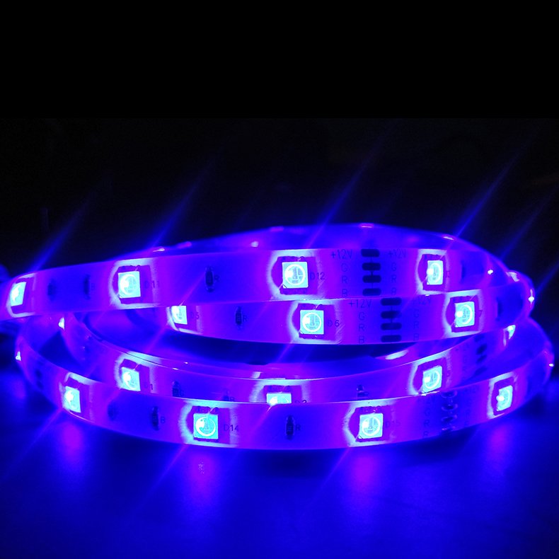 Shenzhen Factory Led Strip 5050 Rgb Smd DC12V24V 30leds Stripes Waterproof Ip65 for Home Tv Backlight Led Car Strip Lights
