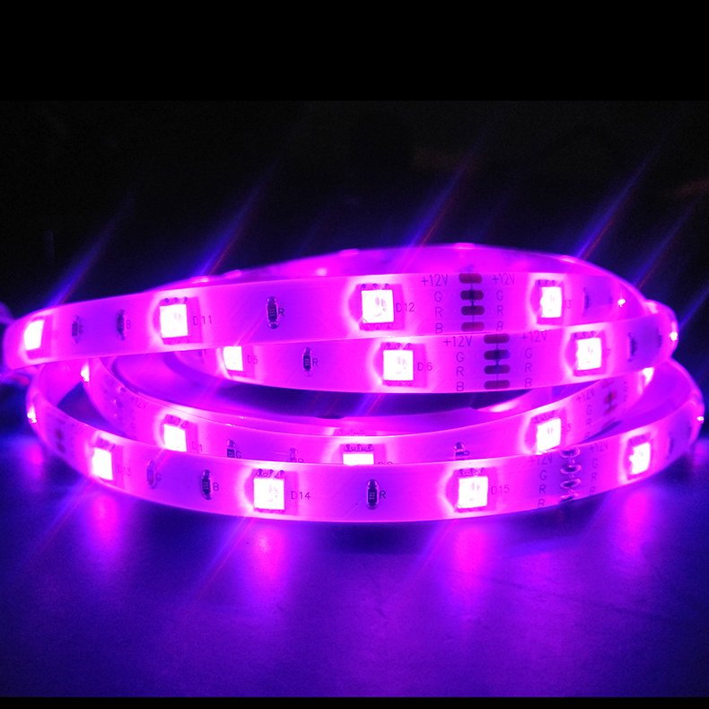 Shenzhen Factory Led Strip 5050 Rgb Smd DC12V24V 30leds Stripes Waterproof Ip65 for Home Tv Backlight Led Car Strip Lights