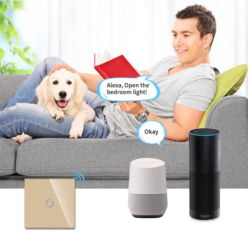 Wholesale Bingelec Home Automation Europe 1 Gang Wifi Remote Control Wall Touch Light Zigbee Tuya Smart Switch