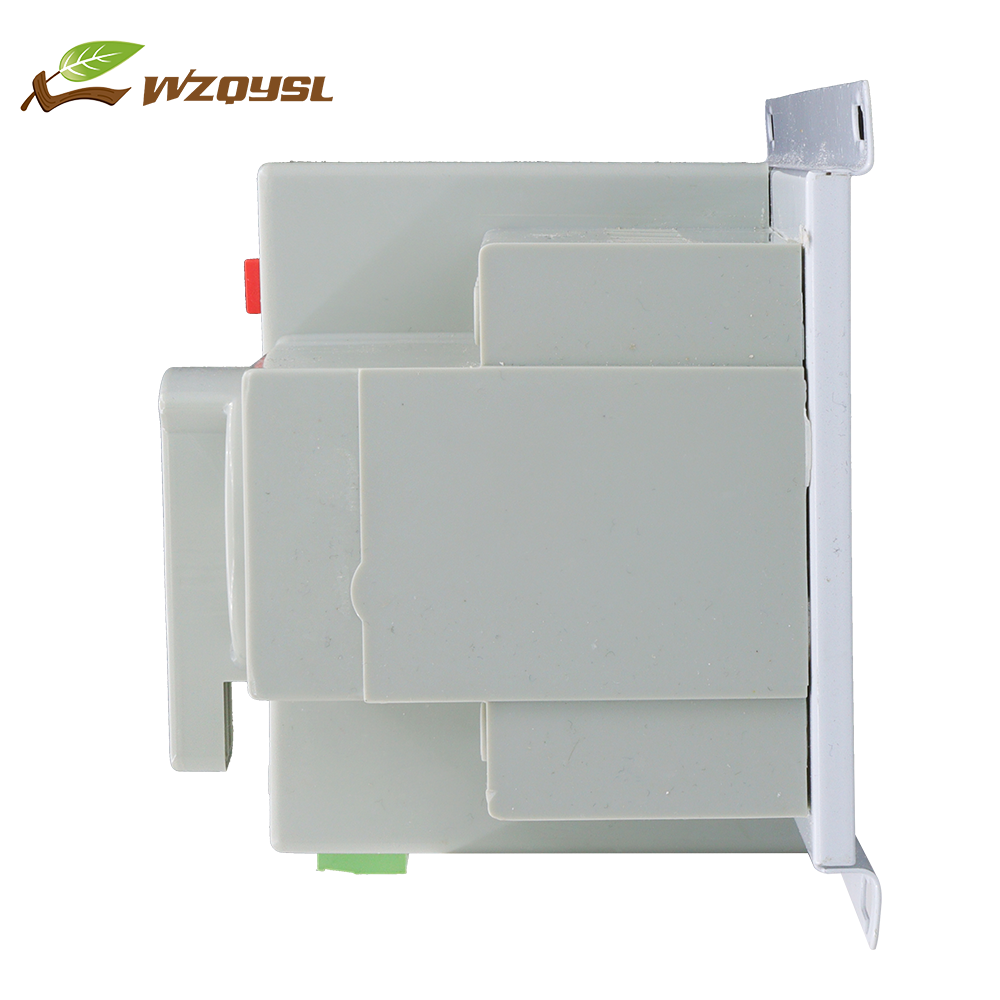 WZQY PC Ats Automatic Dual Power Transfer Switch 2p Wifi Double Throw Switch Ats 2p 100 Amp 100A CE ISO CB ROHS OEM ODM