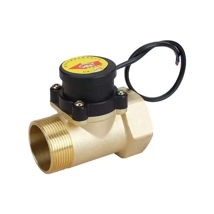 China Manufacturer Water Flow Controller Brass Auto boost Pump Water Flow Sensor Electronic Magnetic Flow Switch