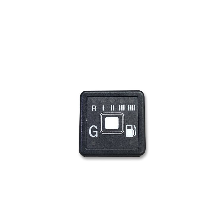 CNG/LPG Brand New Changeover Switch for Car Injection System