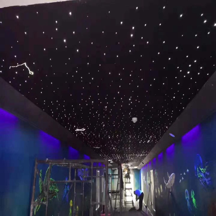 16W RGBW Twinkle Starry Sky Car Roof Star Ceiling Light Kit Music Control App Led Fiber Optic Light