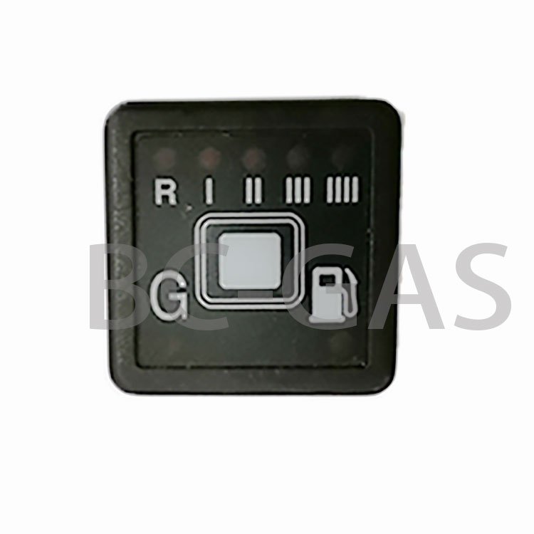 Autocar Ecu Switch Automatic CNG LPG Changeover Switch for Conversion Kit
