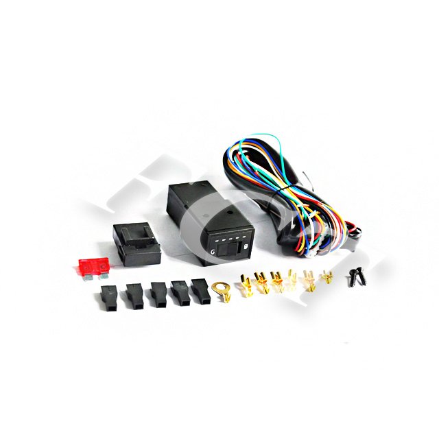 FC Gas Cng Gnc Gnv Switch Kit Lpg Cng Petrol Car Switch Wire Harnesses Car Single Point System Switch
