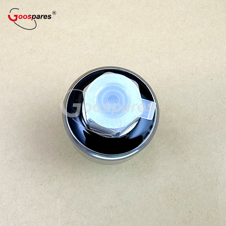 Pressure Switch OEM 504020509 for Iveco European Truck