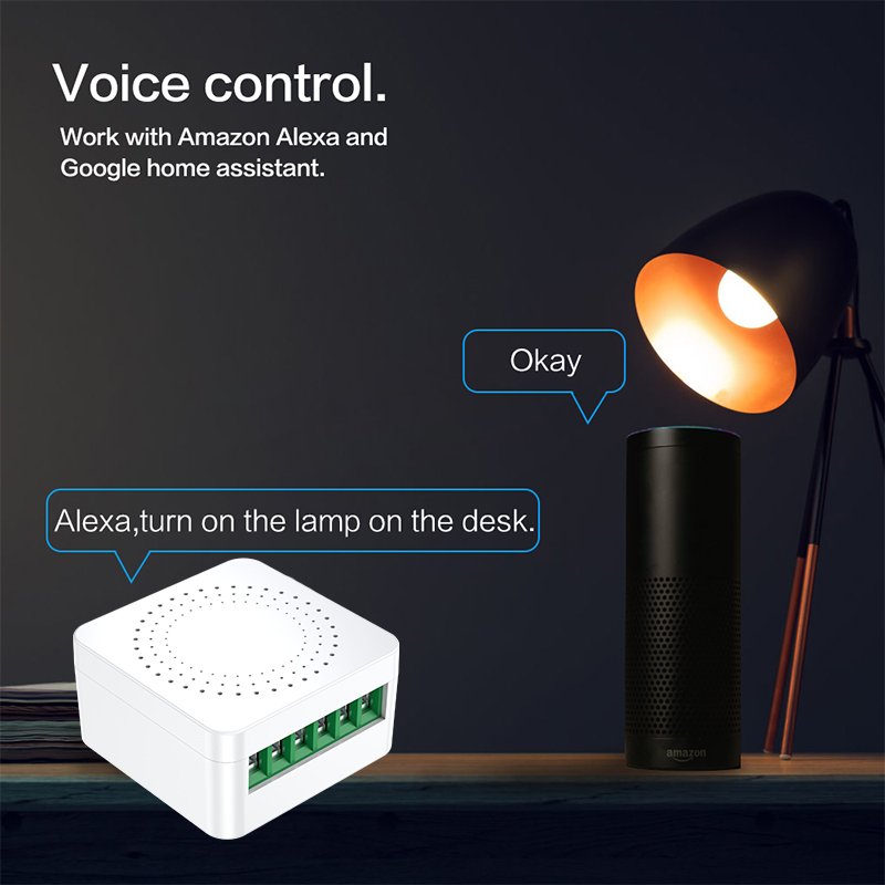 Universal Switch Tooya BSD17 Tuya Wifi Mesh No Energy Monitor 10a Support Any Smart Home Solution Custom Smart Wifi Switch