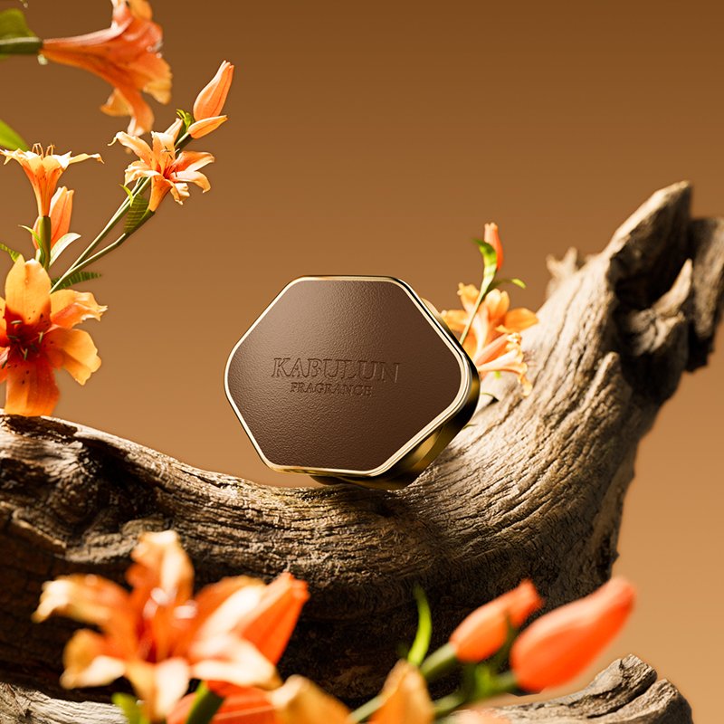 Modern Car Air Conditioner Aromatherapy Air Purifier Solid Fragrance Perfume custom logo for product and package
