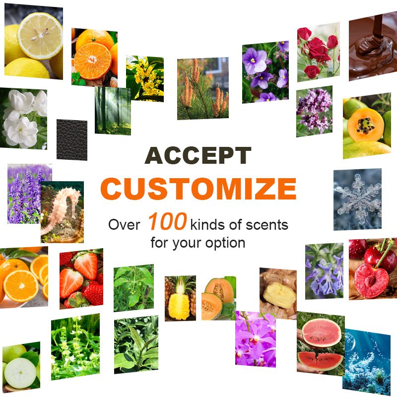 Fast Delivery Fruits Sent Paper Air Freshener Perfume Custom Logo Car Hanging Air Freshener Card