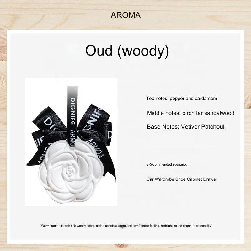 Aromatherapy diffuser stone fragrance hanging piece car plaster aromatherapy wardrobe deodorization
