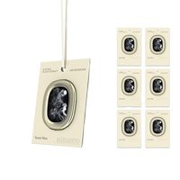 Customized car air fragrance for Tesla hanging air freshener areon car air freshener car accessories for Christmas gift