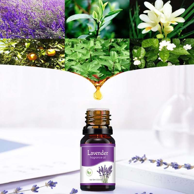 10ml Water-soluble Essential Oils Flower Fruit Essential Oil For Aromatherapy Diffusers Air Freshening Humidifier Body Relieve