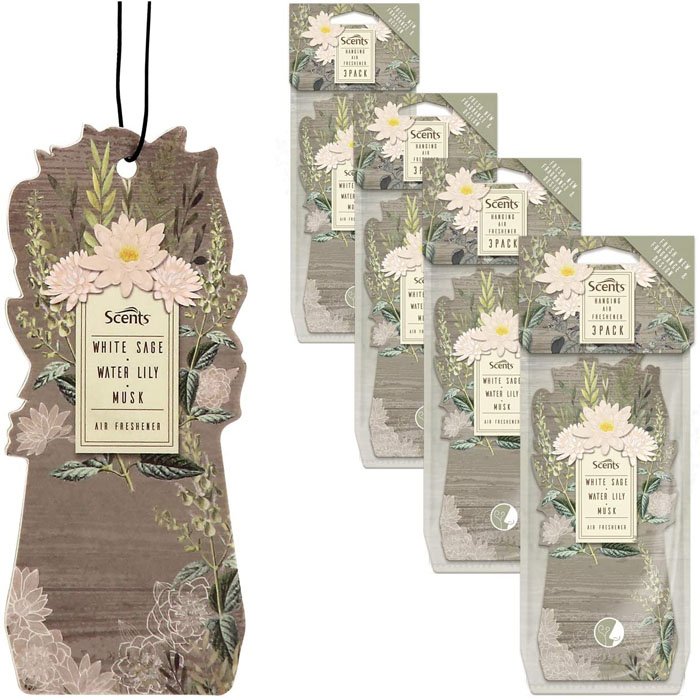 Custom Modern Design Hanging Air Freshener Eco-Friendly Paper Type Car Air Freshener Card