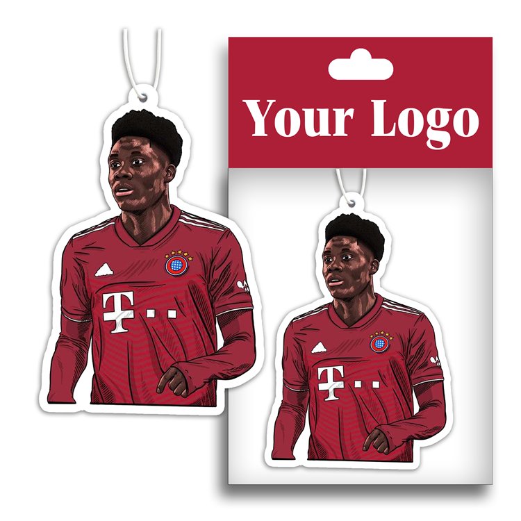 Custom logo printing many scents air freshener for car