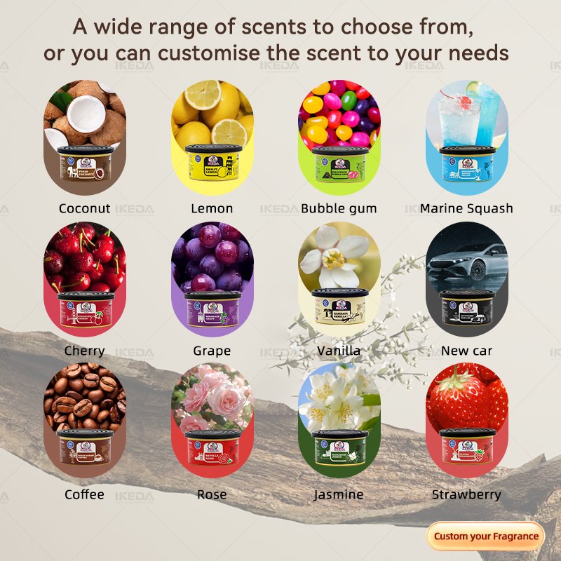IKEDA OEM ODM provide air car freshener car perfume