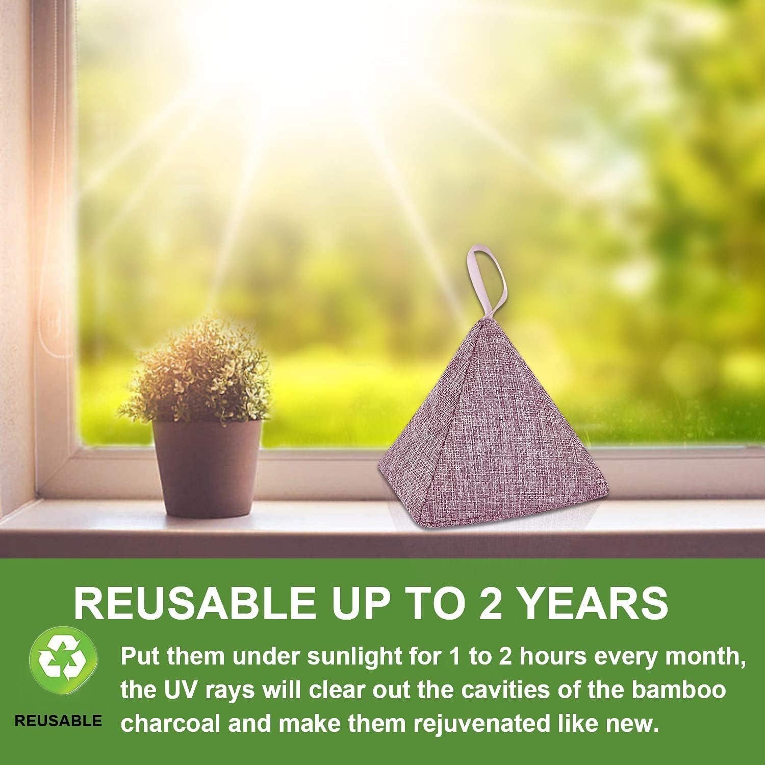 Pyramid Shape Air Purifying Bag Air Freshener Bag Filters Air Activated Carbon Bag For Home and Car Decorate